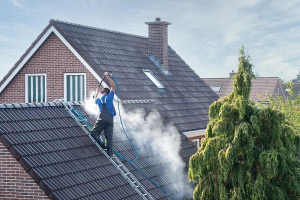 Newark Roof Cleaning