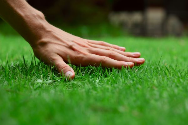 Newark Lawn Treatment