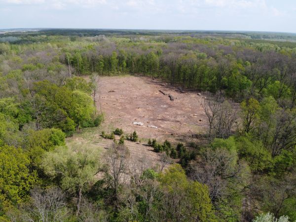 Newark Land Clearing
